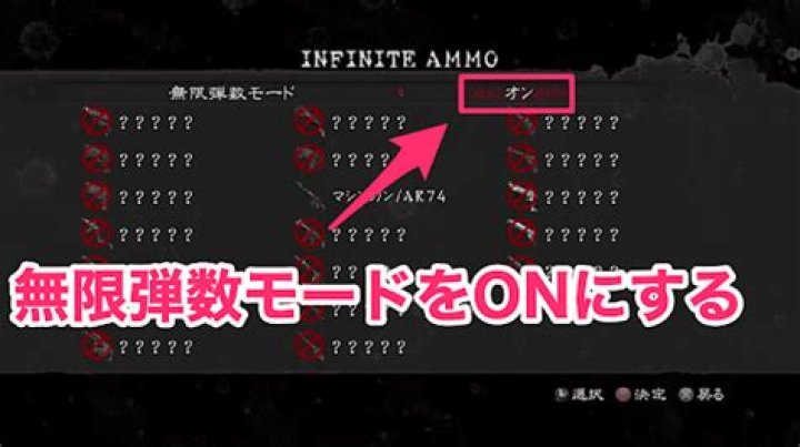 バイオ5 無限武器の装備イメージ